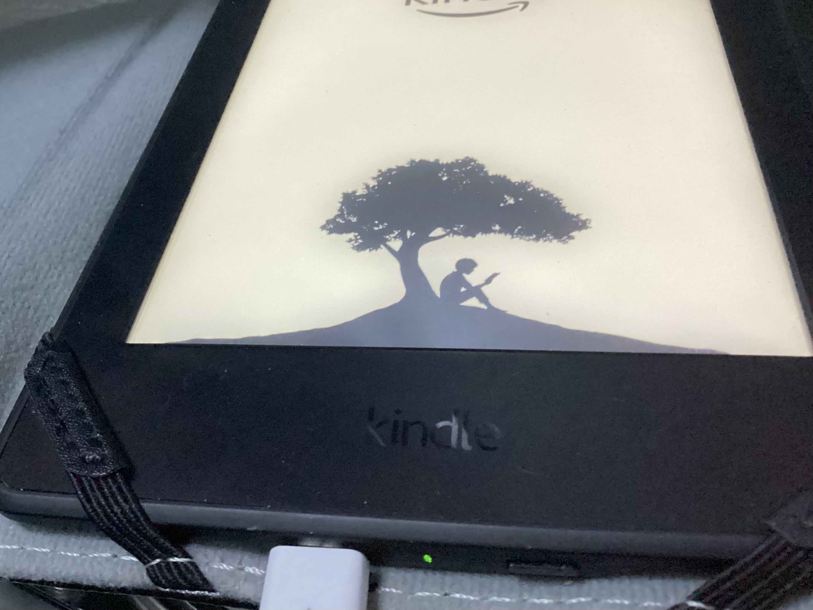 Stuck on Kindle tree boot screen logo.